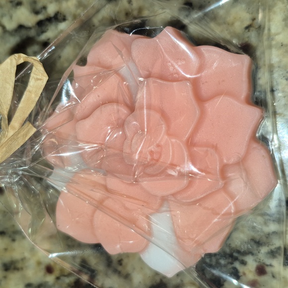 Succulent Decorative Soaps -Handcrafted - Picture 3 of 3